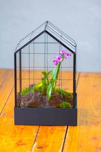 Terrario de Metal y Vidrio Personalizado en Forma de Cabaña, Macetero Moderno de Vidrio para Plantas de Interior, Suculentas, Plantas Aéreas y Terrarios DIY - Product Image 2