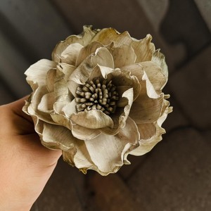 VADEE Premium Vintage Rose Ivory Sola Wood Flowers Sustainable Craft Handmade 10 cm Sesbania Plant <b>Stick</b> Home Star Magnolia - Product Image 5