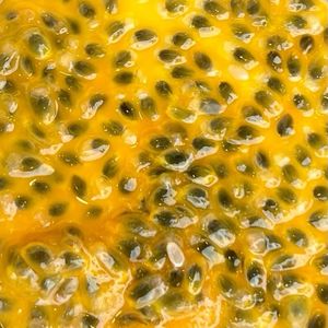 Concentré de jus de fruit de la passion surgelé pour l'industrie alimentaire et la production de boissons, sans pépins, haute teneur en Brix 14, en sachet, usine du Vietnam - Product Image 6