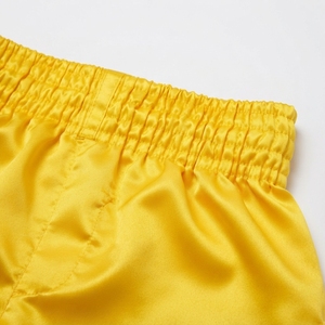 Shorts d'entraînement de Muay Thai pour hommes, légers, respirants, pour les arts martiaux, le kickboxing, la performance athlétique - Product Image 2
