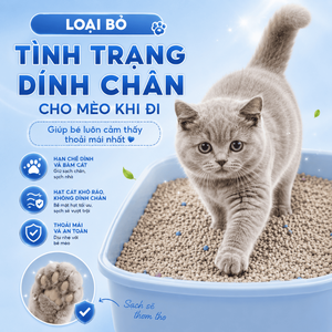 รับผลิตแบบ OEM/ODM ขายส่งทรายแมวเบนโทไนต์ Ecopaws สูตรจับตัวเป็นก้อนแข็ง ฝุ่นน้อย ควบคุมกลิ่นได้ดี ทรายแมวจากดินธรรมชาติ - Product Image 3