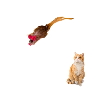 Juguete de plumas para gatos para ejercicio, caza y juego interactivo - Product Image 1