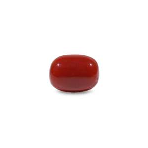 Natural Red Coral Oval Cabochon Loose Gemstone 9.6 Carat Certified Wholesale - Product Image 1