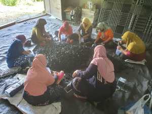 Carbón para shisha hexagonal de lujo Coco de Merades de Indonesia, briquetas ecológicas premium para exportación a restaurantes coreanos de barbacoa. - Product Image 6