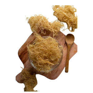 Meilleur prix pour l'algue dorée naturelle séchée Kappaphycus Alvarezii, produit agricole vietnamien, emballé sous vide, best-seller - Product Image 4