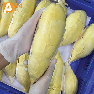 ทุเรียนสด มงตง ไทย ออร์แกนิค เกรดพรีเมียม พร้อมรับประทาน หวาน นุ่ม หอม บรรจุภัณฑ์แช่เย็น ขายส่ง 500 กรัม 14 ลูก - Product Image 2
