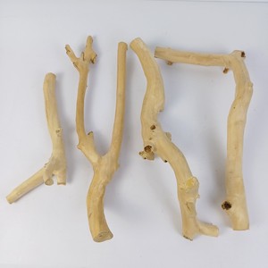 สินค้าขายส่งยอดนิยมปี 2026 ไม้กาแฟ (ไม้จาวา) แท่นเล่นสำหรับนกแก้ว อุปกรณ์สำหรับนกแก้วจากผู้ผลิตในเวียดนาม - Product Image 1