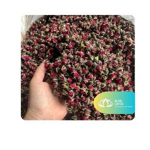[AVAILABLE] l Dried Rose Bud Tea for Tea Brewing Beverage Menus and Daily Consumption Vietnam - Product Image 1