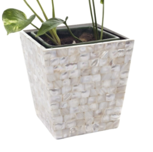 Maceta Decorativa de Nácar Natural, Hecha a Mano, Estilo Costero, para Interiores y Exteriores, Adorno para Jardín y Hogar, de Vietnam - Product Image 4