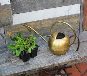 Petite arrosoir en laiton de style vintage pour plantes d'intérieur, pot d'arrosage pour la maison et le jardin - Product Image 5