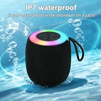 309 Enceinte audio sans fil transparente avec subwoofer à basses profondes, son acoustique clair à volume élevé, éclairage LED, prise en charge USB et carte TF, pour le jardin