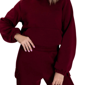 Conjunto Deportivo de Felpa para Mujer, Sudadera con Capucha de Corte Holgado, Pantalones Jogger, Atuendo Casual de Invierno de Dos Piezas - Product Image 5