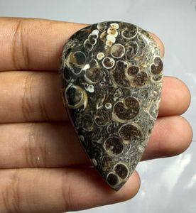Cabujón de ágata Turritella en forma de corazón, mineral pulido para la fabricación de joyas - Product Image 4