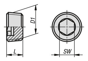 K1129 สกรูปลั๊ก DIN906 ไม่มีช่องระบายอากาศ, M20X1,5, SW=10, รูปแบบ: A, เหล็กชุบสังกะสี - Product Image 5