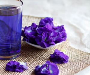 Thé aux fleurs de pois papillon bleu en vrac, tisane naturelle biologique, ingrédient amincissant et bienfaçant pour la santé, approvisionnement en vrac du Vietnam, EXPAD Cup - Product Image 2