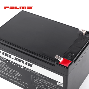 광동성 중국 팔마 PM12-12 12V12Ah 유지 보수 무료 납산 VRLA 태양 에너지 저장 배터리 - Product Image 3