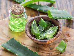 Hoja de aloe vera cortada en cubitos en jarabe ligero-Material de gel de pulpa para bebida - Product Image 4