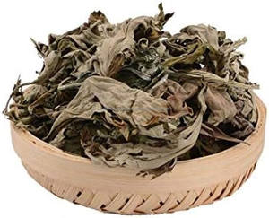 Artemisia Vulgaris Artemisa Hojas secas Magwort Hoja Nagadouna Ajenjo Secado Ajenjo salvaje Hierbas crudas Venta al por mayor Producto a base de hierbas - Product Image 5