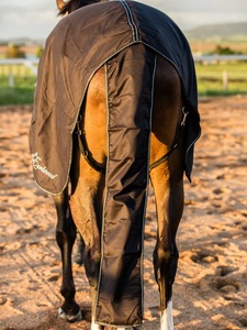 Ventes en gros de couvertures d'équitation pour chevaux, imperméables et respirantes, avec doublure en nylon, pour l'extérieur et l'hiver - Product Image 2