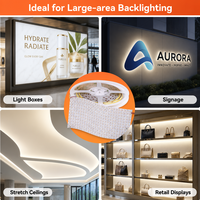 Lámina LED Flexible Personalizable de 420 LED/m SMD2835 de 24V para Letreros Luminosos y Pantallas Retroiluminadas FlexSheet