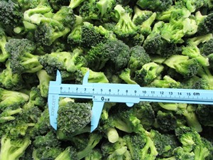 Brócoli Congelado IQF, Vegetales Congelados de Primera Calidad de Vietnam - Product Image 5