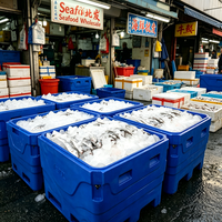 Bac isotherme robuste en LLDPE à double paroi, rotomoulé, grande capacité (460L, 660L, 1000L), pour le transport et la transformation de poissons et de fruits de mer