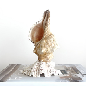 Room decor accent table lamp with clamshell base competitive price seashell <b>night</b> <b>light</b> lamps - Product Image 3