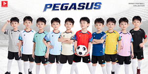 ชุดฟุตบอลแบบกำหนดเอง Pegasus แห้งเร็ว ระบายอากาศได้ดี สำหรับผู้ชาย ผู้หญิง และเด็ก รับผลิตแบบ OEM ODM - Product Image 6