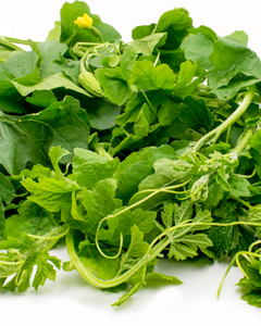 Feuilles de courge amère séchées de qualité supérieure, feuilles d'herbes nettoyées et transformées pour le thé et l'usage médicinal - Product Image 4