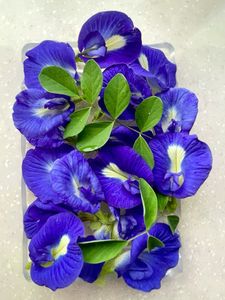 Standard Bulk Dried Butterfly Pea Flowers Natural Blue Petals Herbal <b>Tea</b> 100% Natural <b>Slimming</b> Beverage Processing Wholesale - Product Image 1