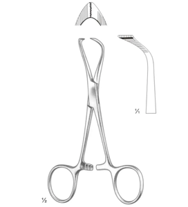 OFERTA ESPECIAL: Pinza para Toallas Quirúrgicas Veterinarias y Dentales GORAYA GERMAN Backhaus, Manual, de Acero Inoxidable, con Certificación CE e ISO, a Bajo Precio - Product Image 5