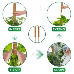 Nouveaux bâtons de cocotier et poteaux en fibre de coco 2026 pour support de plantes d'intérieur et d'extérieur, idéaux pour les plantes grimpantes de jardin, en provenance du Vietnam - Product Image 3