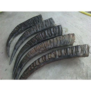 ขนมขบเคี้ยวสำหรับสุนัขคุณภาพสูง ทำจากเขาควายธรรมชาติ พร้อมกระดูก ราคาถูกที่สุด เป็นมิตรกับสิ่งแวดล้อม สีเขาธรรมชาติ - Product Image 4