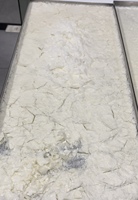 Machine de lyophilisation d'ingrédients laitiers SJ-20H, capacité de 20 kg par lot, pour la transformation du lait, du yaourt, des bases de boissons et des poudres alimentaires