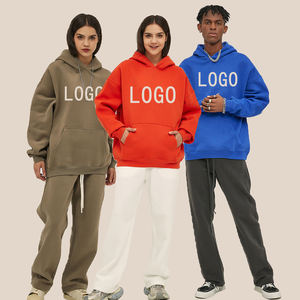 Unisex Streetwear Breathable Lightweight Winter <b>Hoodie</b> Set 100% Polyester Front Logo Print Full Length Regular Fit Tracksuit - Product Image 1