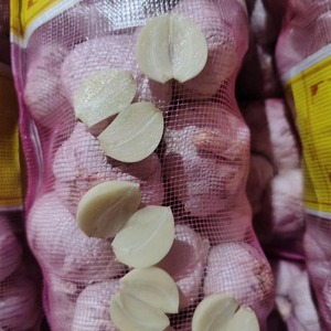 Poudre d'ail de qualité supérieure, exportateur de Quang Ngai, Vietnam, origine 1 kg, Viet Delta Co. LTD - Product Image 3