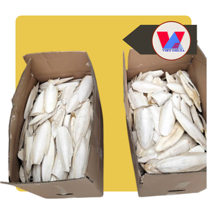 Hueso de Sepia Seco y Sostenible para Recortar el Pico de Aves y Loros, Juguete Masticable de Calcio para Animales - Product Image 1