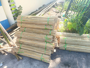Vietnam Natural Bamboo Pole Strong Material For Construction Furniture <b>Frame</b> Outdoor Decoration And Landscaping Structure - Product Image 3