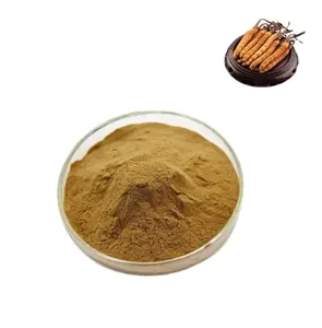 Produsen bubuk ekstrak Sinensis Cordyceps murni Cordyceps alami massal untuk ekspor