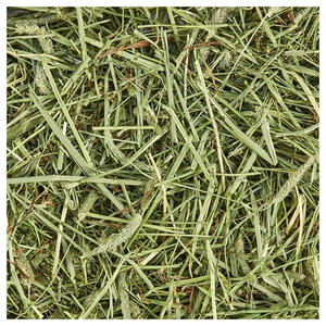 Heno de Timothy, Heno Natural de Pasto, Alimento para Animales, Suministro a Granel, Empresa de Comercio Mayorista - Product Image 1