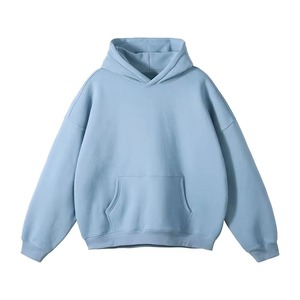 Sweat-shirts à capuche épais en coton 100% pour hommes, 500 g/m², sans impression, avec logo floqué - Product Image 1