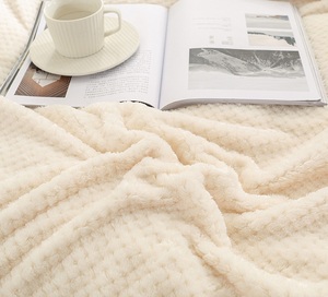 Wholesale Custom Logo Soft Flannel Fleece Blanket Cozy Polyester Throw Blanket for <b>Sofa</b> Bed Winter Home Hotel Gift Use - Product Image 3