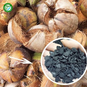Charbon de noix de coco premium du Vietnam |   Fournisseur en gros de charbon de bois à haute teneur en carbone fixe pour barbecue et usage industriel - Product Image 5