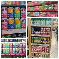 Bebidas de Jugo de Frutas Tropicales, Jugo de Frutas Saludable, Fabricante de Bebidas con Certificación de Vietnam, Marca Privada OEM, Muestra Gratuita