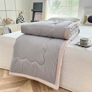 Couette moderne en microfibre unie avec rembourrage en polyester, ensemble de literie lavable 4 pièces 300 fils pour usage domestique - Product Image 2