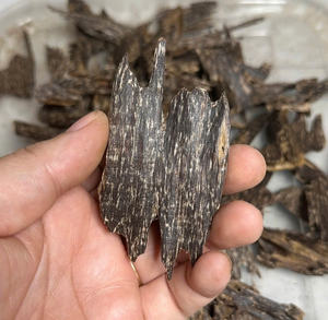 Proveedor de Oud AZ, Chips de Oud AA+ de Primera Calidad, Agarwood Apari, Precio Directo de Fábrica para Uso en Incienso y Perfumes - Product Image 6
