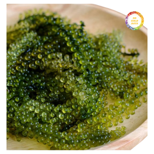 Uvas de Mar Secas (Caulerpa Lentillifera) de Fácil Rehidratación - Product Image 2