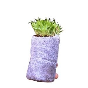 แผ่น/ก้อนใยมะพร้าวคุณภาพสูงสำหรับการปลูกพืชไร้ดินและเพาะชำ – จำหน่ายจำนวนมากจากอินเดีย - Product Image 4