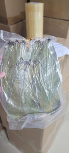 Vietnam supplier of dried Annona muricata leaves, carefully processed for herbal <b>tea</b> production, wholesale sourcing for global - Product Image 4