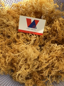 สาหร่าย-มอสทะเลไอริชจำนวนมาก // มิสลิมา - Product Image 2